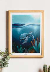 Tortue dans son lagon