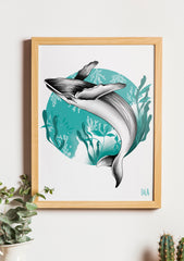 Baleine