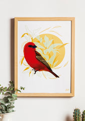Cardinal
