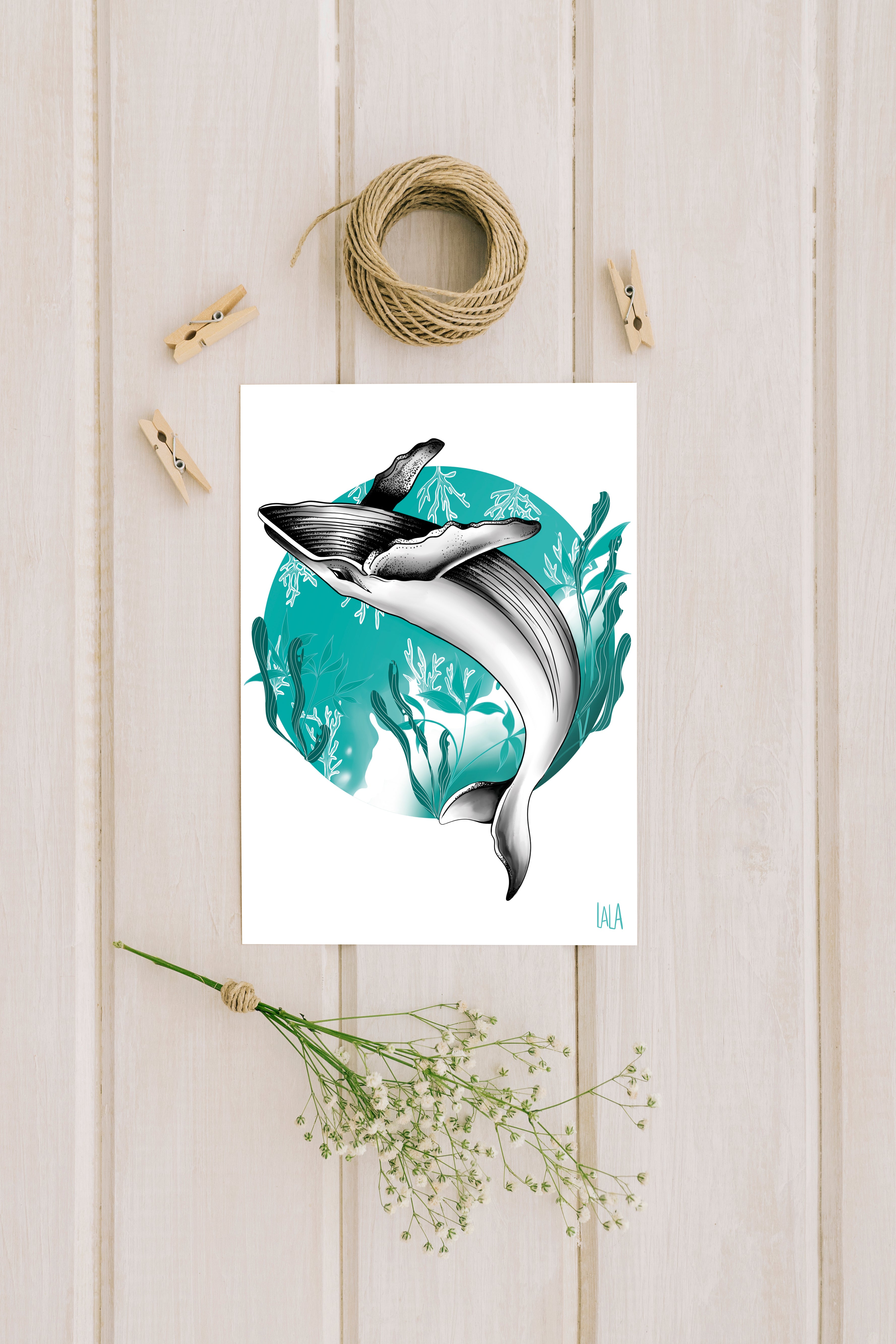 Baleine