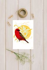 Cardinal