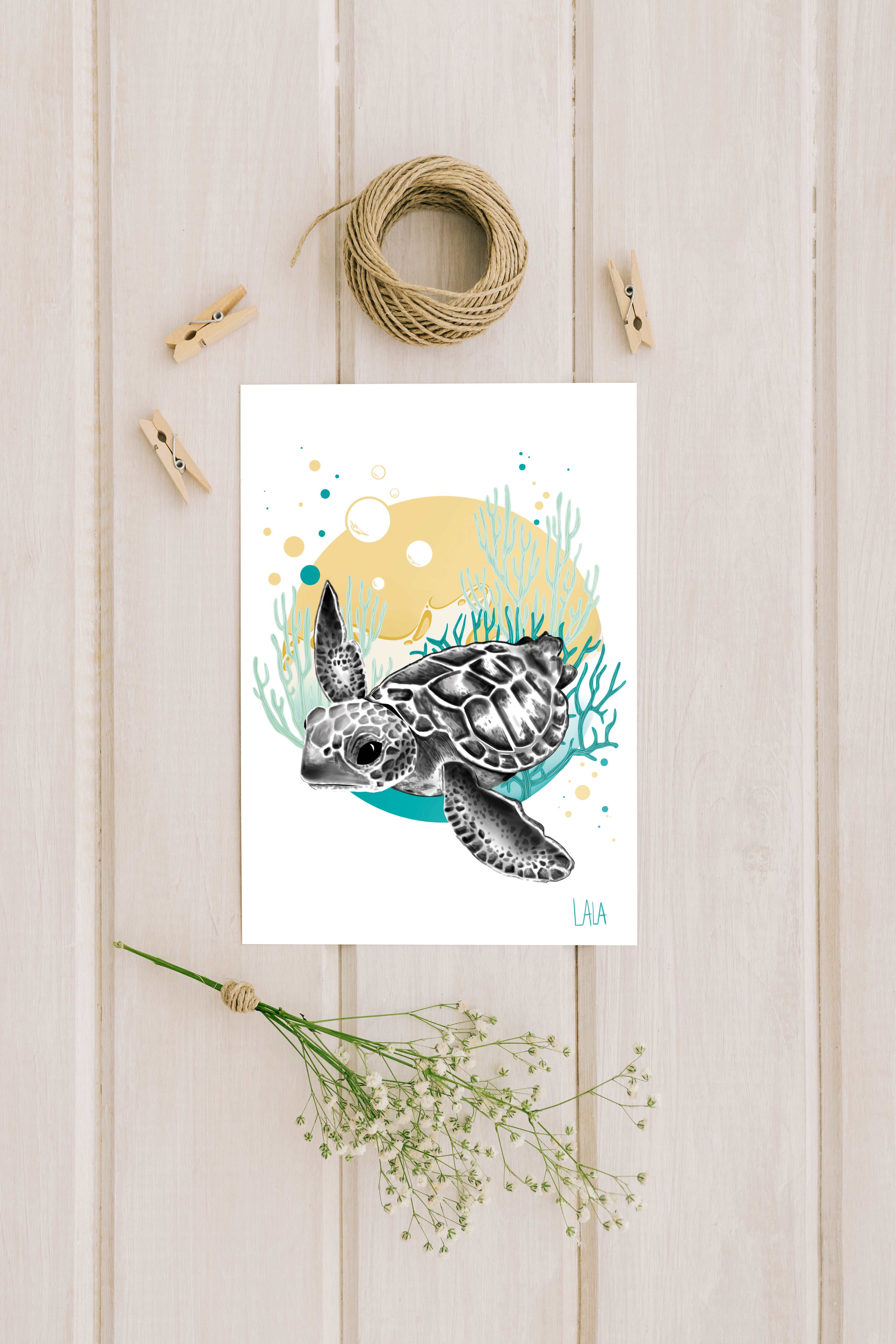 Tortue